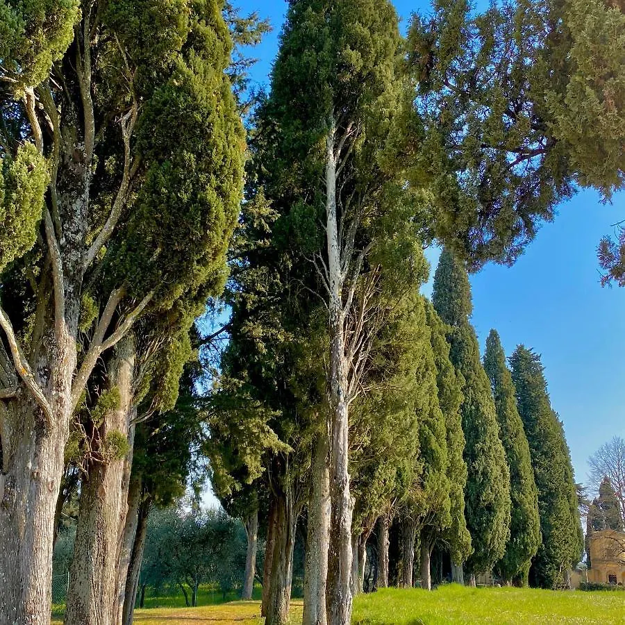 סיינה Palazzo Del Papa Country Suites