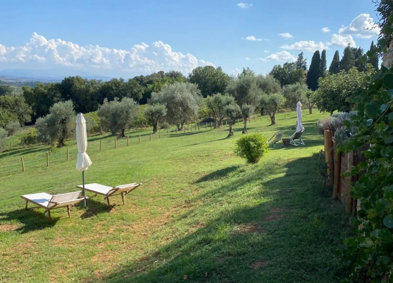 Palazzo del Papa Country Suites Siena