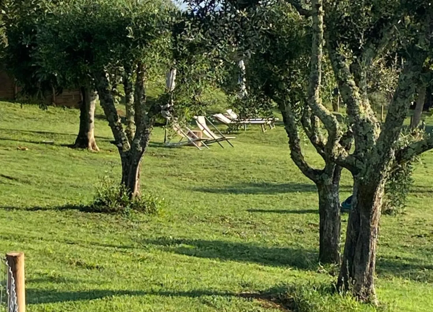 סיינה Palazzo Del Papa Country Suites 0*,