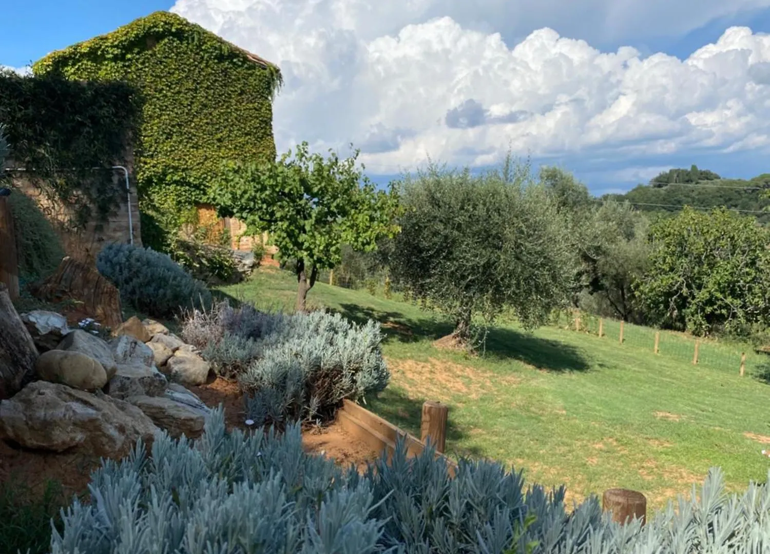 Palazzo Del Papa Country Suites Siena